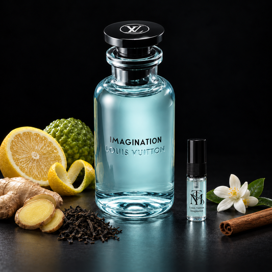 Louis Vuitton Imagination